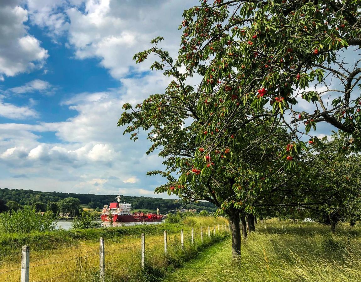 Maison Normande Au Bord De Seine, Le Verger De Pacome Anneville-Ambourville Bagian luar foto